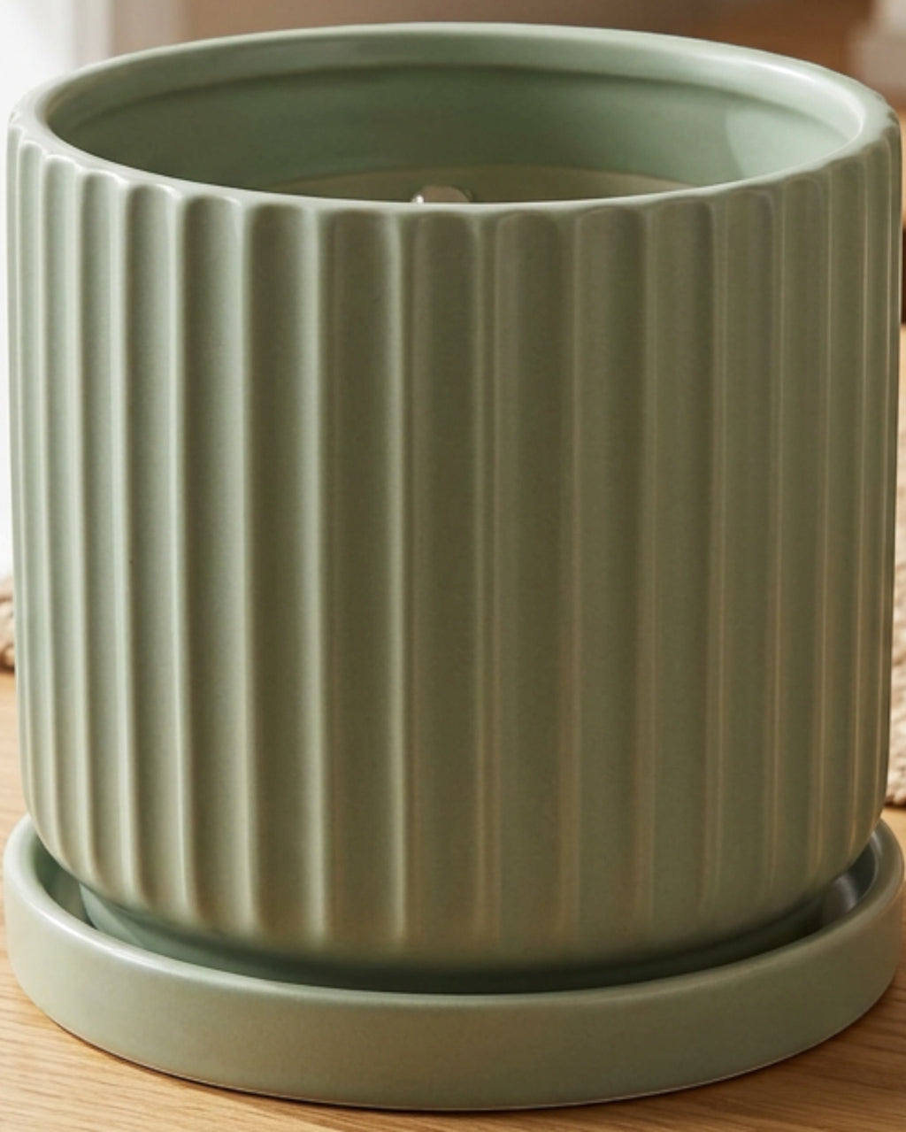 Wjmrg Fluted Cylinder Ceramic Planter with Saucer Sage 18 cm - Lifestyle view
