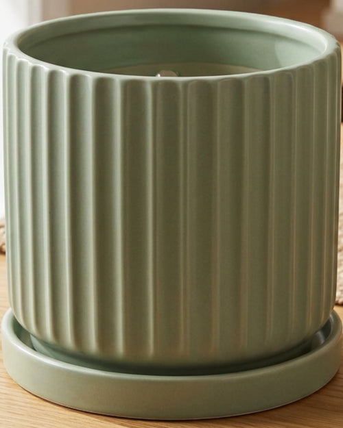 Wjmrg Fluted Cylinder Ceramic Planter with Saucer Sage 18 cm - Lifestyle view